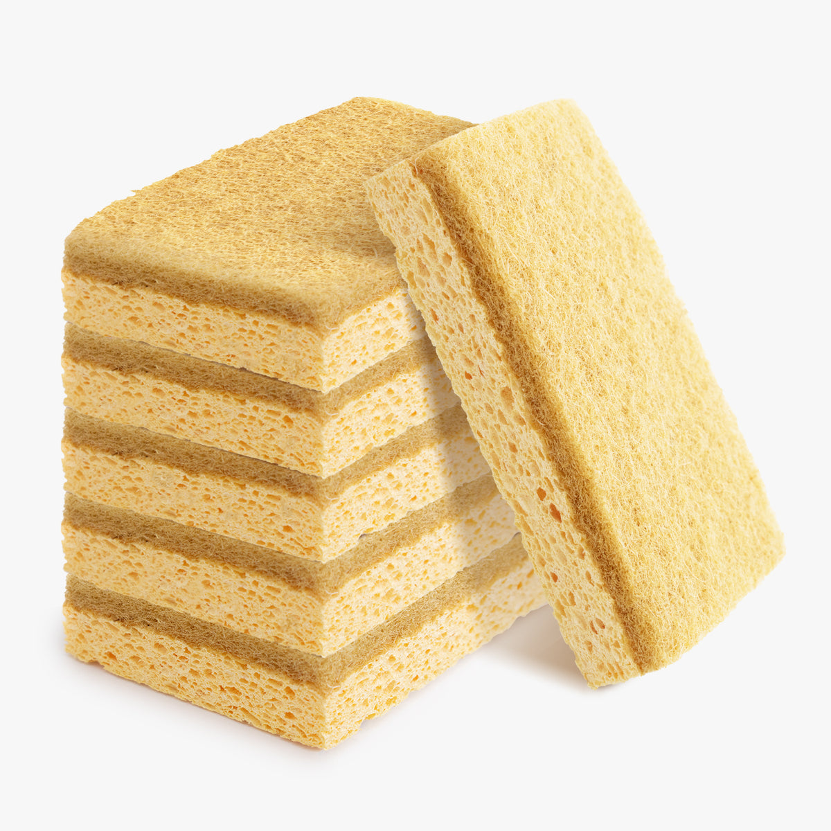 Zero Waste Natural Biodegradable Dish Sponge Pack of 6