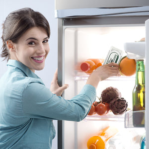 Kitchen Fridge Deodoriser