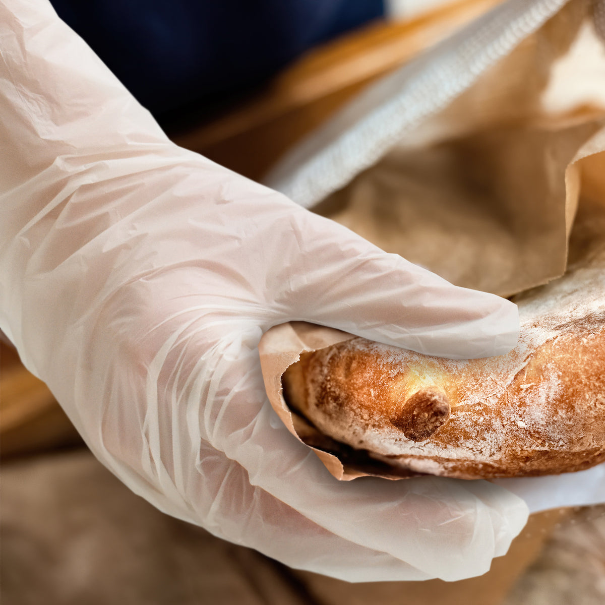 Health and Safety Biodegradable Food Grade Gloves