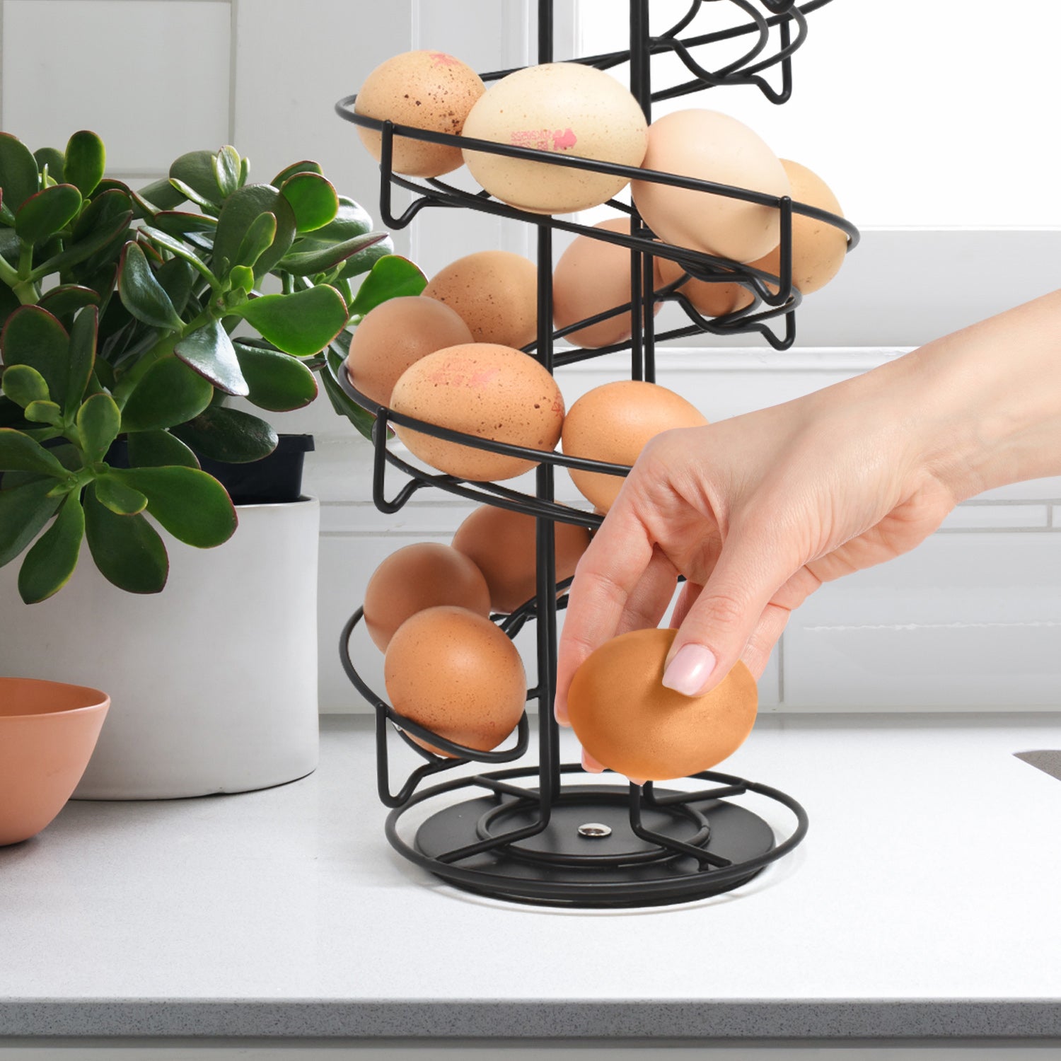 Revolving Egg Rack Egg Skelter, Egg Storage - Black | Joejis