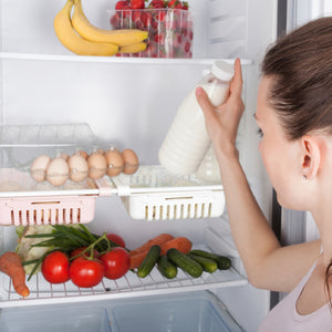 Fridge Shelf Rack