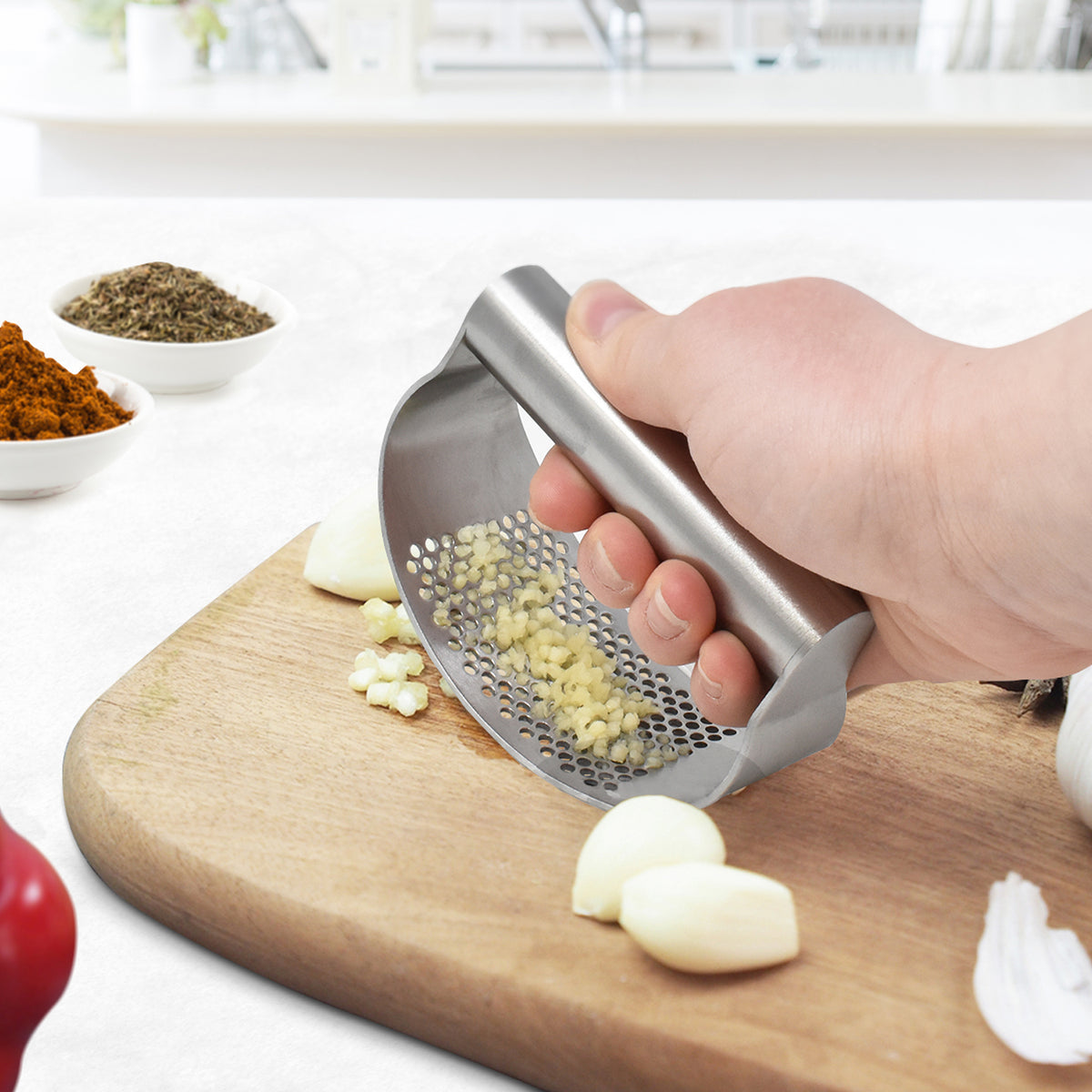 Stainless Steel Garlic Press