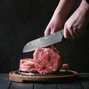 Japanese Kitchen Knife